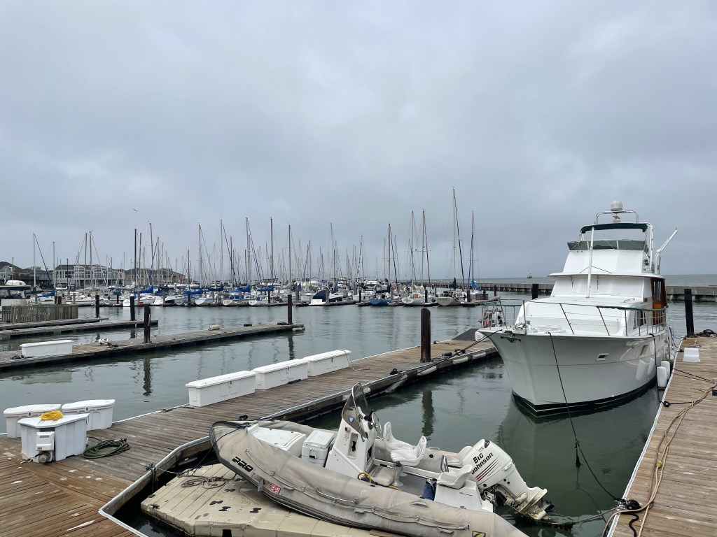 On a Cloudy Summer Day in San Francisco